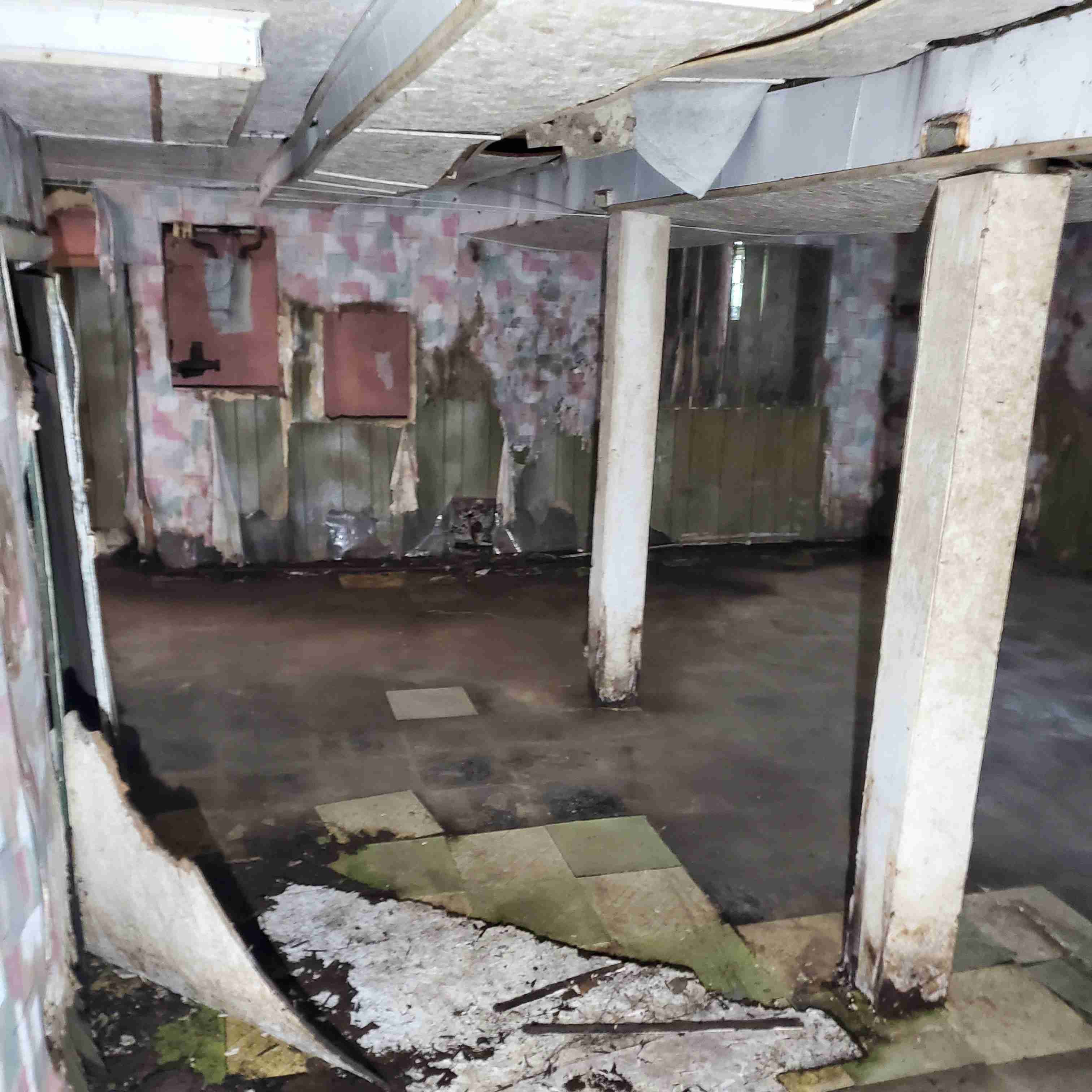 20200812_152440 (2).jpg